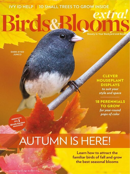 Title details for Birds and Blooms Extra by Trusted Media Brands Inc. - Available